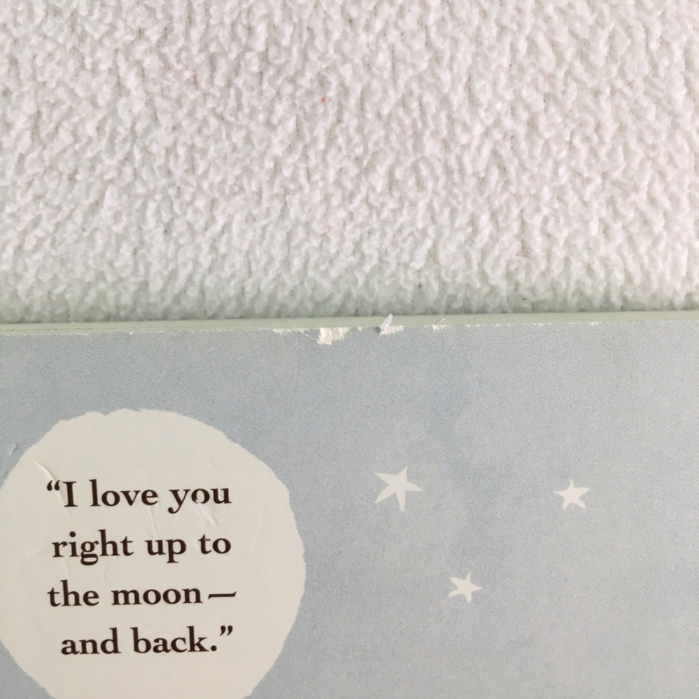🐇 “Guess How Much I Love You” Board Book 🐇 - Picture 13 of 15